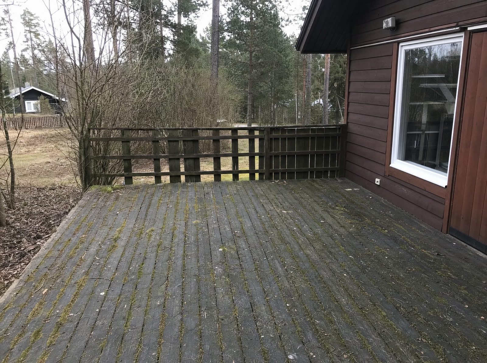 Vana mädanenud puitterrass sammalt täis, hall ilm