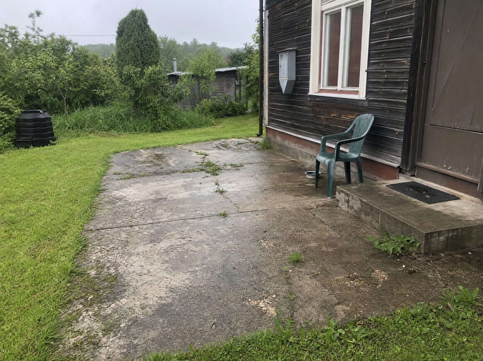 Pragunenud betoonplaat õuealal, umbrohi vahel